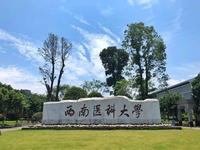 西南医科大学怎么样?好不好就业呢?就业前景好吗?